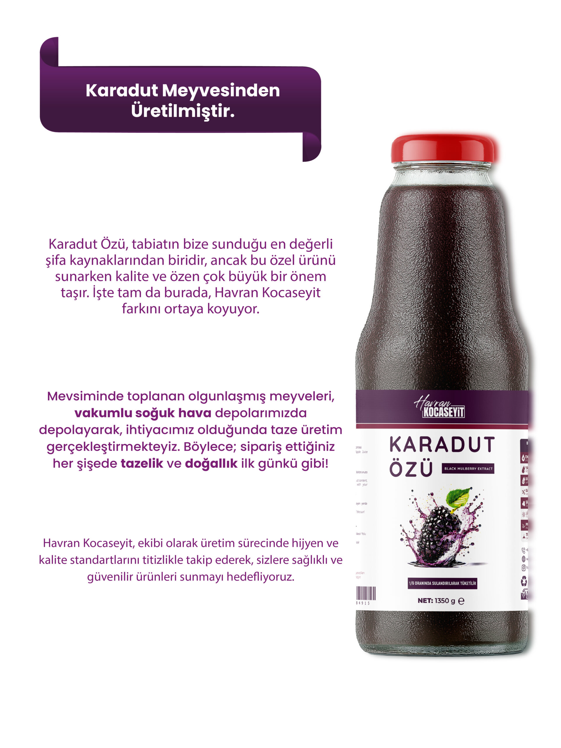 3 Adet Karadut Özü 1350 g + Yaban Mersini Özü 350 g - Görsel 4