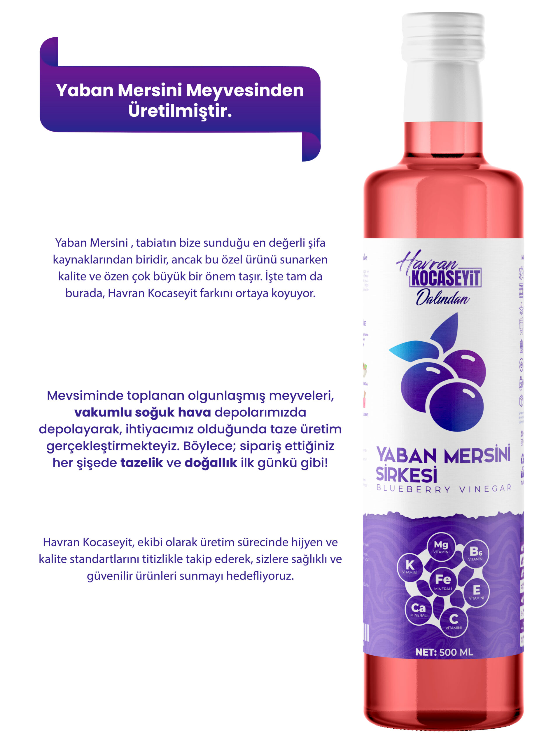 Doğal Antioksidan Yaban Mersini Sirkesi 500 Ml - Görsel 3
