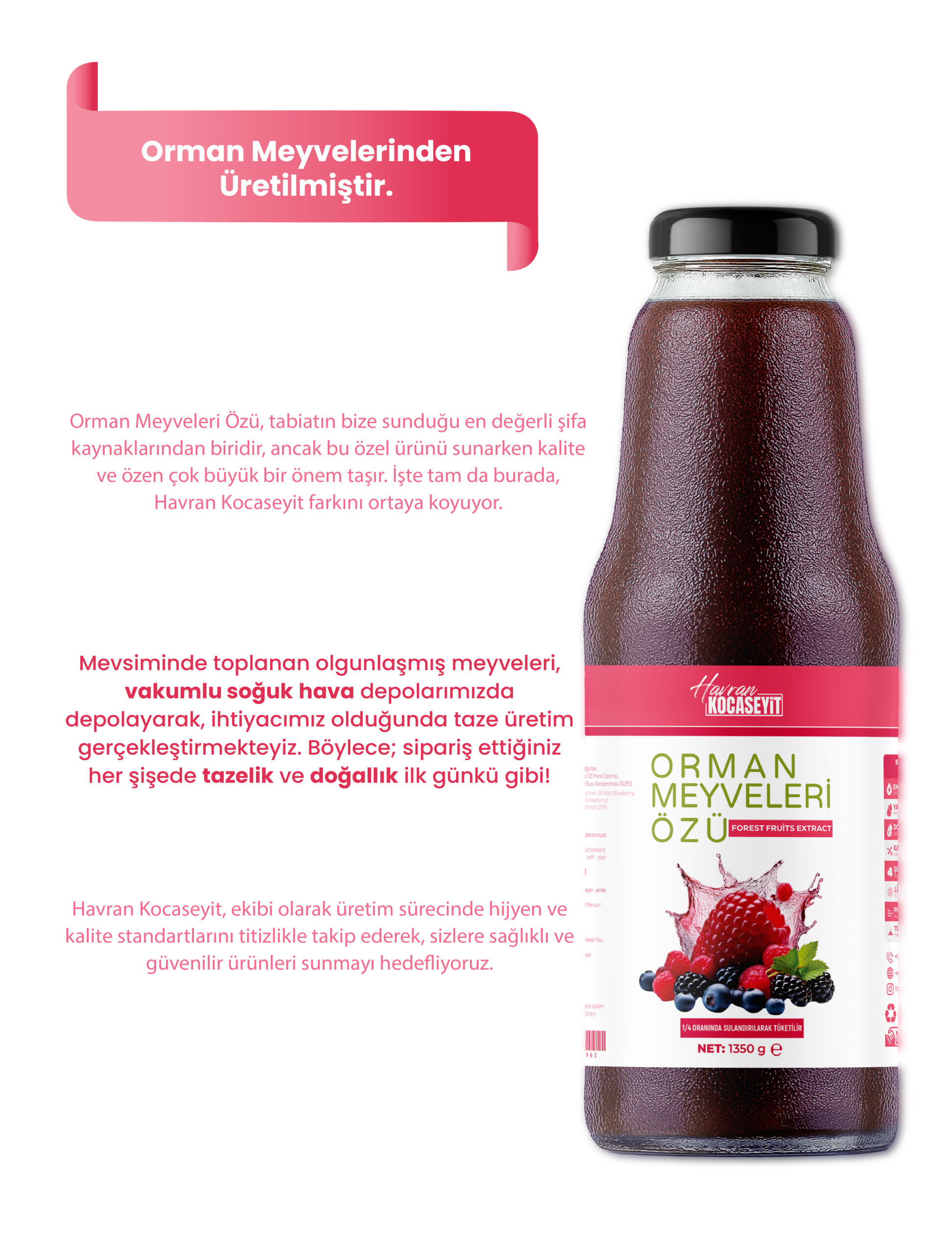 Tanesiz Orman Meyve Özü 1350 g - Görsel 3
