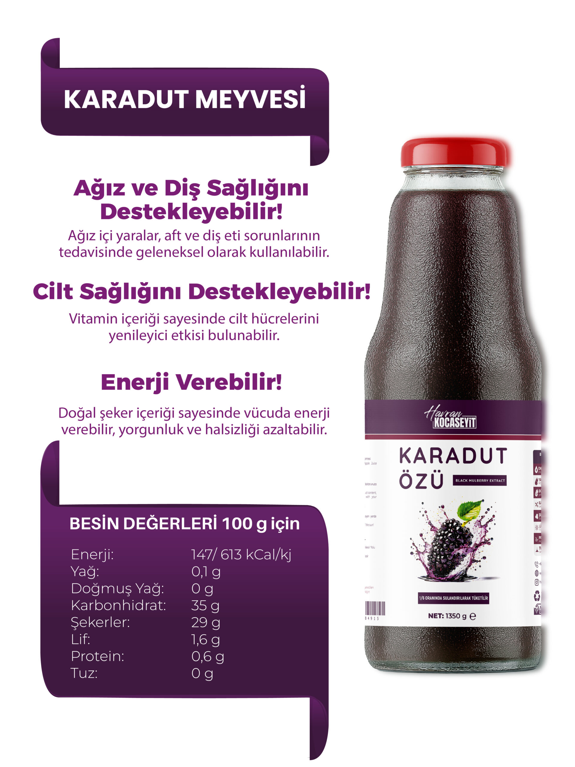 3 Adet Karadut Özü 1350 g + Yaban Mersini Özü 350 g - Görsel 2