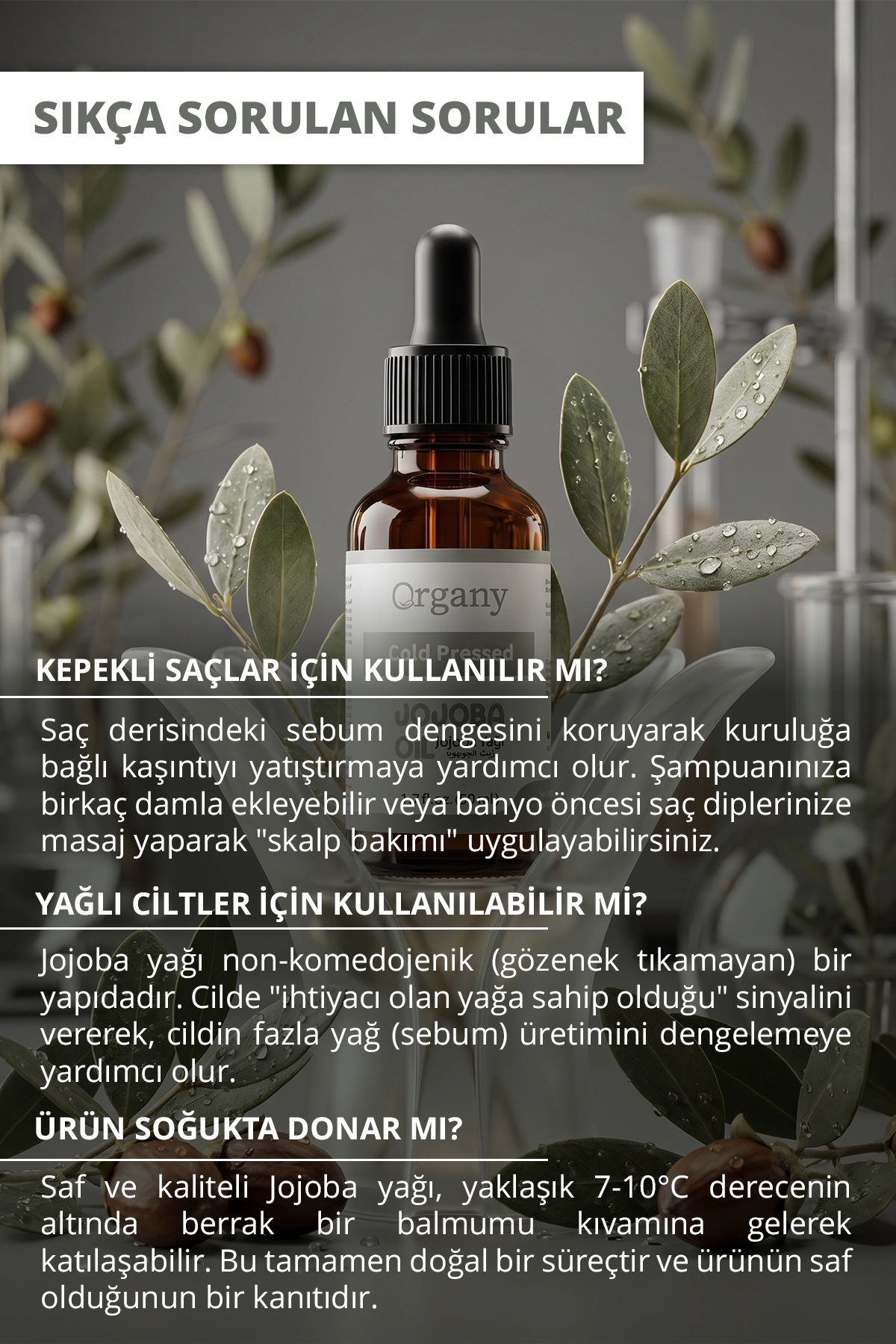 Soğuk Sıkım Jojoba Yağı %100 Doğal Gözenek Tıkamayan Cilt ve Saç Bakım Yağı Jojoba Oil 50 ml - Görsel 3