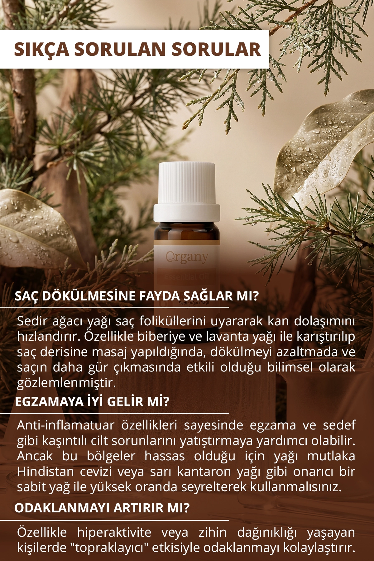 Kepeği Önleyici Sedir Ağacı Yağı %100 Doğal Saç Derisi Bakım Yağı Cedarwood Essential Oil 10 ml - Görsel 4