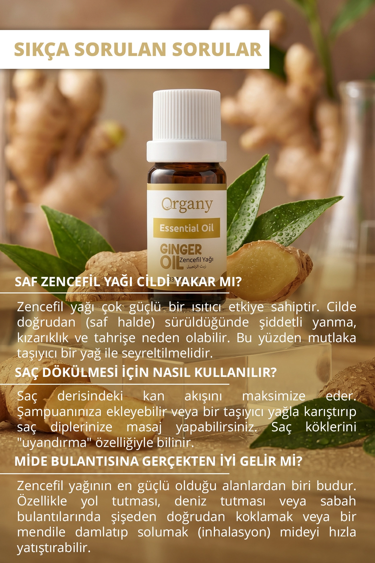Isıtıcı Etkili Zencefil Yağı %100 Doğal Sıcak Baharatlı Masaj Yağı Ginger Essential Oil 10 ml - Görsel 4